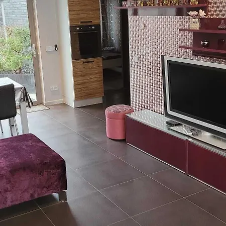 Luxe Era Studio's Venray