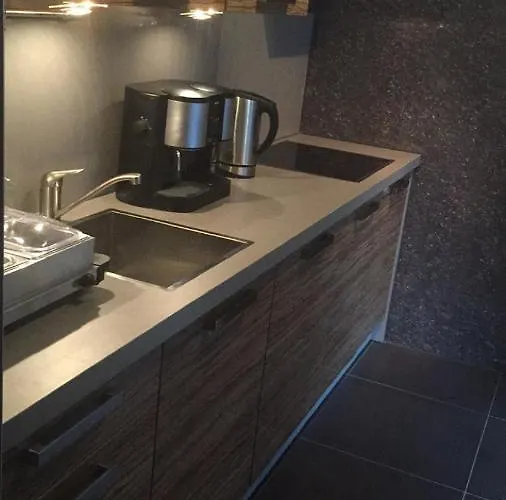 Luxe Gastenverblijf Era Studio'S Apartment Venray