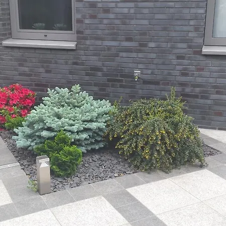 Luxe Era Studio's Venray