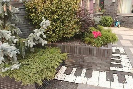 Luxe Era Studio's Daire Venray